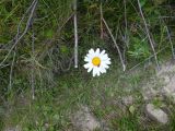 Szirt  mászó-tábor Hejce 2012.07.02.-07. - 20120709_222156_66_szirtse.jpg