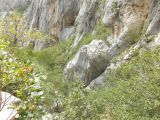 Horvátország - Paklenica - 20120801_080751_60_szirtse.JPG