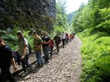 Vársonkolyos -Révi-szoros . Furta ÁMK.2012.06.07. - 20130127_111324_63_szirtse.jpg