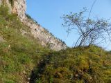 Nagyváradi vár...Sonkolyos gyakorló mászás 2010.04.17. - 20130127_140550_96_szirtse.jpg