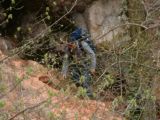 Hasadt-kő. Révi-szoros 2007.03.25. - 20130127_214821_78_szirtse.jpg