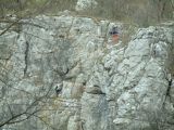 Hasadt-kő. Révi-szoros 2007.03.25. - 20130127_214913_47_szirtse.jpg