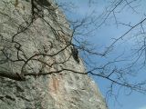 Hasadt-kő. Révi-szoros 2007.03.25. - 20130127_215217_68_szirtse.jpg