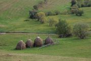 Vigyázó /1836m/  2013.09.22. - 20140316_201553_95_szirtse.jpg