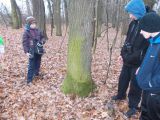 Hótaposó túra a város környéki vizes élőhelyeken.2014.01.18. - 20140317_225202_48_szirtse.jpg
