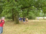 Madarak és Fák Napja 2015.06.15. - 20170204_143257_54_szirtse.jpg