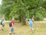 Madarak és Fák Napja 2015.06.15. - 20170204_143259_91_szirtse.jpg