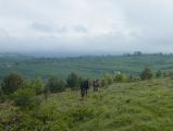 Túra a Sebes-körös szurdokvölgyében 2016.04.30. - 20170205_211853_33_szirtse.jpg