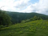 Túra a Sebes-körös szurdokvölgyében 2016.04.30. - 20170205_211928_52_szirtse.jpg