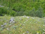 Túra a Sebes-körös szurdokvölgyében 2016.04.30. - 20170205_211950_39_szirtse.jpg