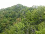 Túra a Sebes-körös szurdokvölgyében 2016.04.30. - 20170205_212209_44_szirtse.jpg
