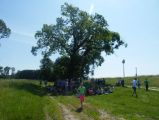 Madarak és Fák Napja 2016.05.27. - 20170205_222938_82_szirtse.jpg