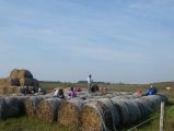 Madárgyűrűzési Világnap Csóka-lak tanya 2016.10.02. - 20170206_133247_95_szirtse.jpg