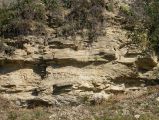 DÖK túra Körösfőre 2016.10.08. - 20170206_142532_58_szirtse.jpg