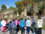 DÖK túra Körösfőre 2016.10.08. - 20170206_142540_88_szirtse.jpg