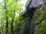 Abasár - 2010.05.24. - 20120210_164336_75_szirtse.jpg