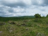 Abasár - 2010.05.24. - 20120210_164349_41_szirtse.jpg