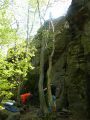 Abasár - 2010.04.24 - 20120212_112814_13_szirtse.jpg