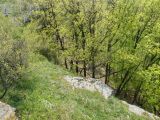 Abasár - 2010.04.24 - 20120212_112831_63_szirtse.jpg