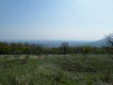 Abasár - 2010.04.24 - 20120212_112831_70_szirtse.jpg