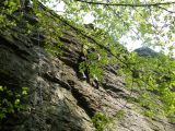 Abasár - 2010.04.24 - 20120212_112833_12_szirtse.jpg