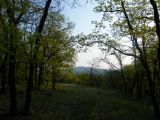 Abasár - 2010.04.24 - 20120212_112856_94_szirtse.jpg