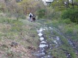 Abasár - 2010.04.24 - 20120212_112857_30_szirtse.jpg