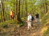 Abasár - 2010.04.24 - 20120212_112857_40_szirtse.jpg