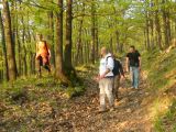 Abasár - 2010.04.24 - 20120212_112857_40_szirtse.jpg