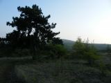 Abasár - 2010.04.24 - 20120212_112858_19_szirtse.jpg