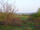 Abasár - 2010.04.24 - 20120212_112859_93_szirtse.jpg