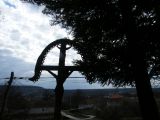 Túra a Sólyomkői-várhoz.2011. - 20120227_100941_77_szirtse.jpg