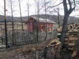 Túra a Sólyomkői-várhoz.2011. - 20120227_100951_52_szirtse.jpg