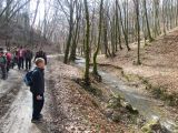 Túra a Sólyomkői-várhoz.2011. - 20120227_101220_28_szirtse.jpg