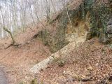 Túra a Sólyomkői-várhoz.2011. - 20120227_101256_79_szirtse.jpg