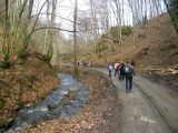 Túra a Sólyomkői-várhoz.2011. - 20120227_101320_94_szirtse.jpg