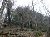 Túra a Sólyomkői-várhoz.2011. - 20120227_101500_88_szirtse.jpg