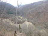 Túra a Sólyomkői-várhoz.2011. - 20120227_101828_38_szirtse.jpg