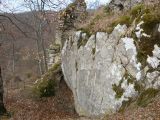 Túra a Sólyomkői-várhoz.2011. - 20120227_101944_30_szirtse.jpg