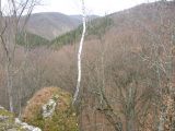 Túra a Sólyomkői-várhoz.2011. - 20120227_102142_21_szirtse.jpg