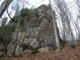 Túra a Sólyomkői-várhoz.2011. - 20120227_102436_42_szirtse.jpg