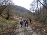 Túra a Sólyomkői-várhoz.2011. - 20120227_102649_36_szirtse.jpg