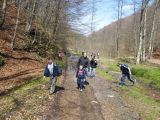 Berettyó-forrás 2011.04.17. - 20120310_212747_23_szirtse.jpg