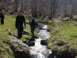 Berettyó-forrás 2011.04.17. - 20120310_212754_86_szirtse.jpg