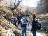 Berettyó-forrás 2011.04.17. - 20120310_212756_76_szirtse.jpg