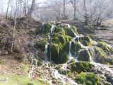 Berettyó-forrás 2011.04.17. - 20120310_212801_11_szirtse.jpg