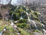 Berettyó-forrás 2011.04.17. - 20120310_212803_44_szirtse.jpg