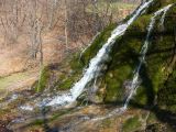 Berettyó-forrás 2011.04.17. - 20120310_212805_13_szirtse.jpg