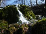 Berettyó-forrás 2011.04.17. - 20120310_212808_44_szirtse.jpg