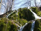 Berettyó-forrás 2011.04.17. - 20120310_212811_71_szirtse.jpg